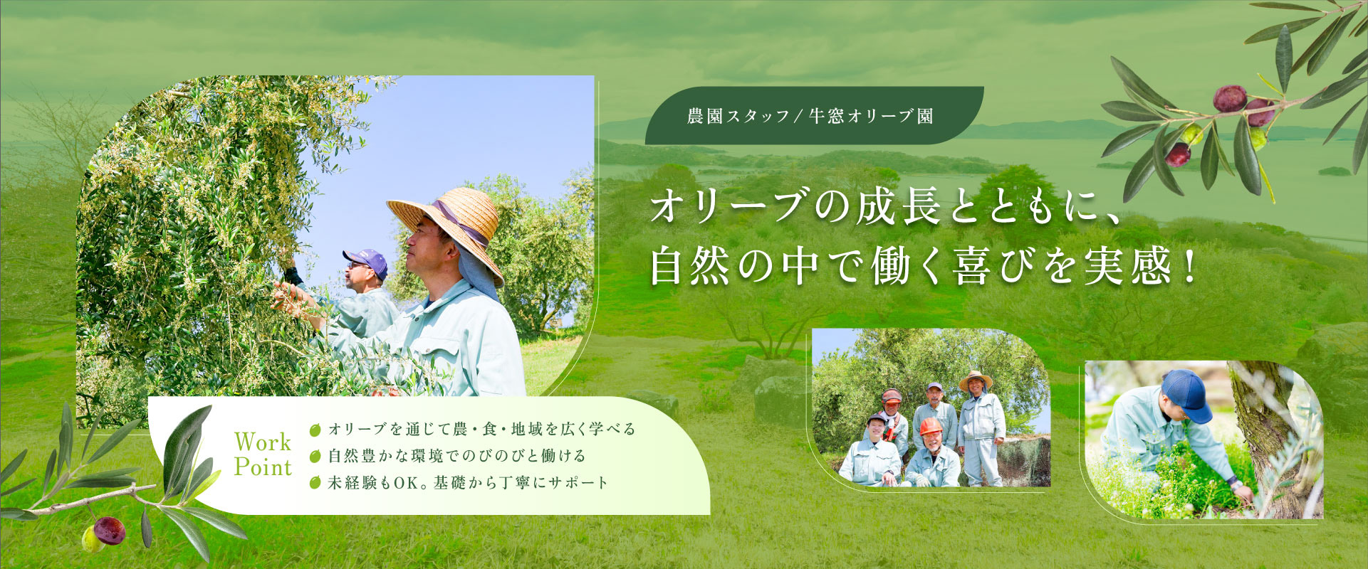 トップビジュアル