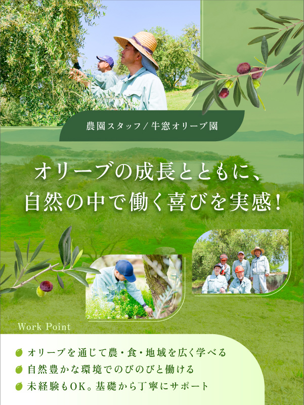 トップビジュアル