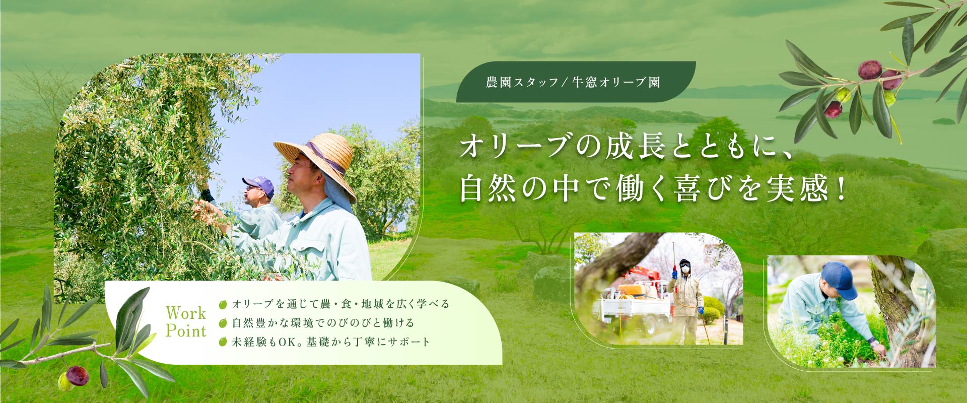 トップビジュアル