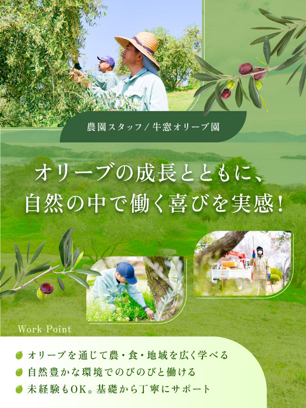 トップビジュアル